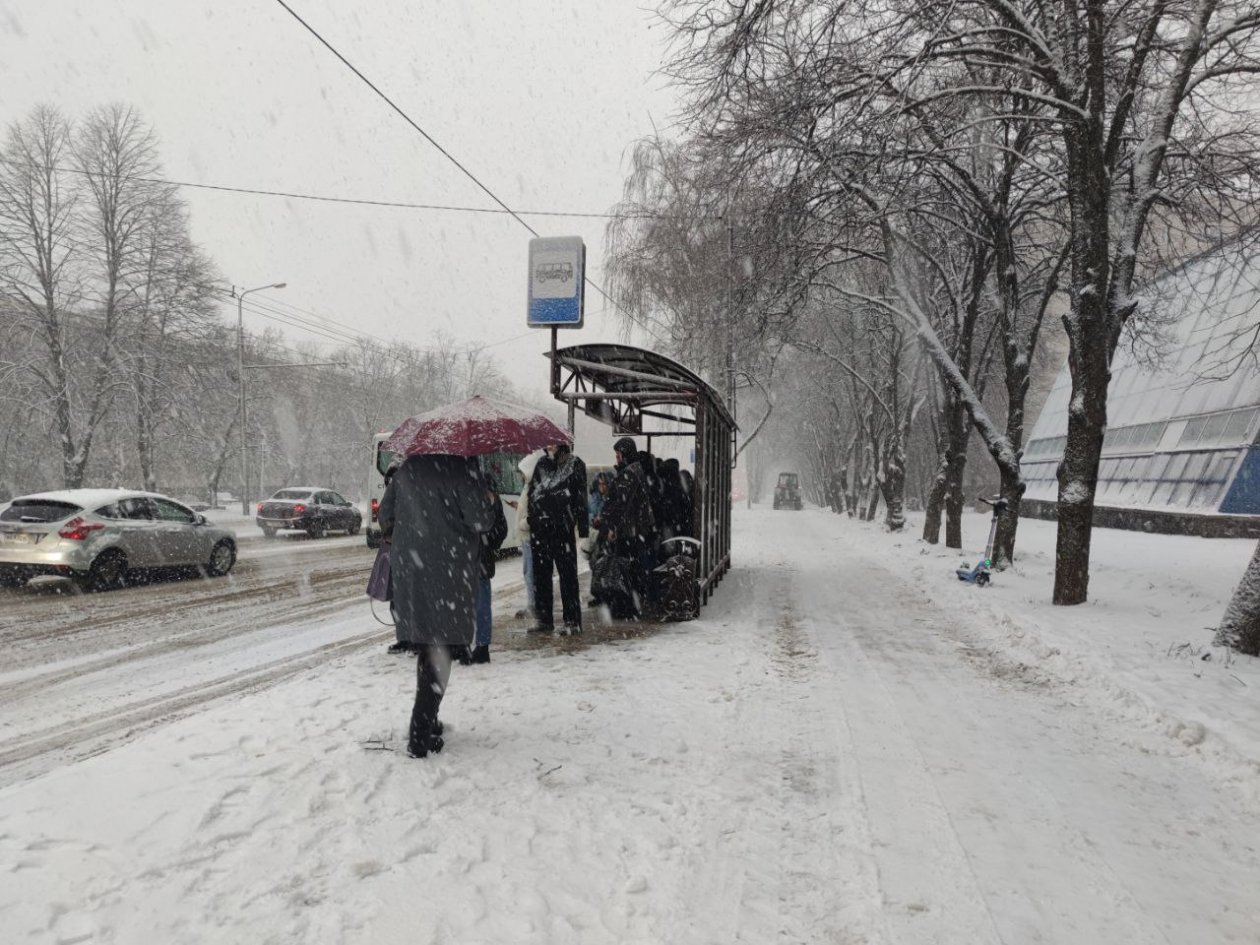 Тематическое фото ИА Stavropol.Media