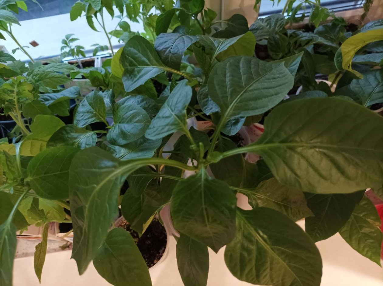 Тематическое фото Фото автора