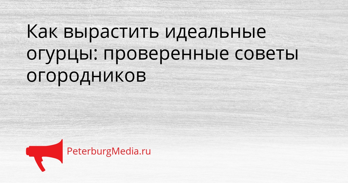 Как вырастить идеальные огурцы: проверенные советы огородников Сгенерировано