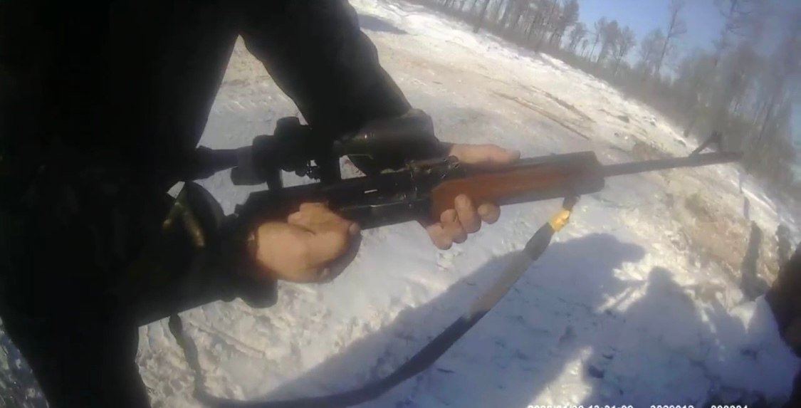 Амурчане отправились за дровами и &quotна всякий случай&quot взяли с собой ружья управление по охране животного мира Амурской области