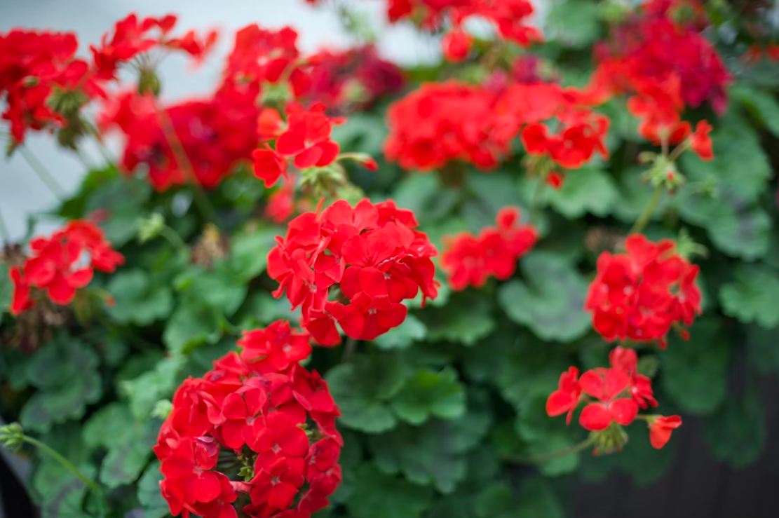 Тематическое фото unsplash.com