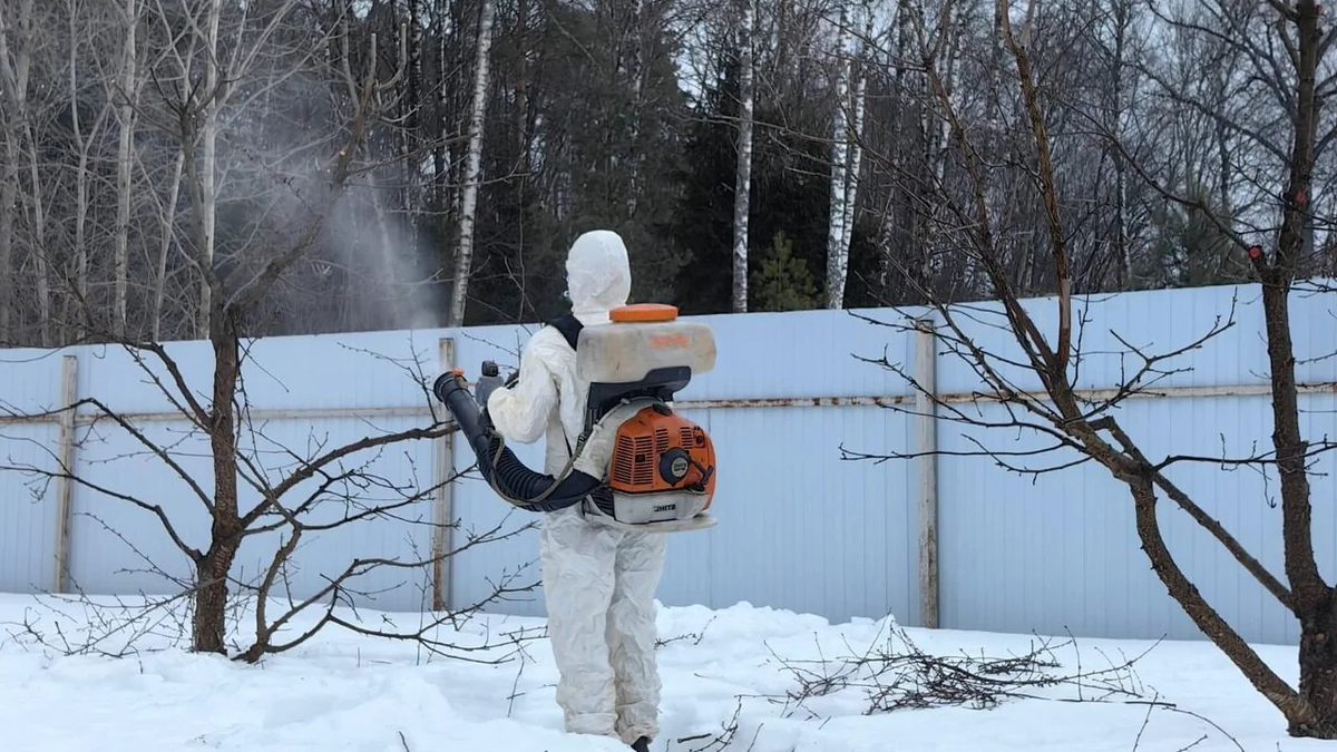 Тематическое фото Автор Дзен-канала &quotНа даче у деда Егора&quot (12+)