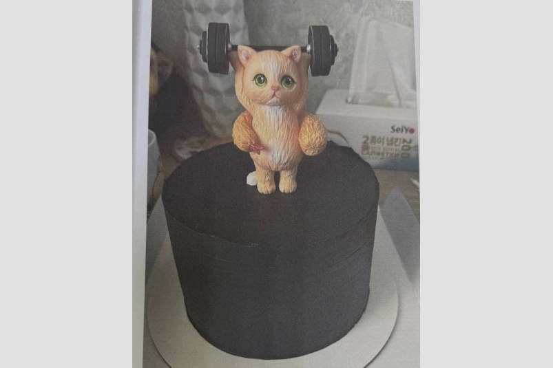 Торт с сюрпризом ТГ пресс-службы судов Хабаровского края