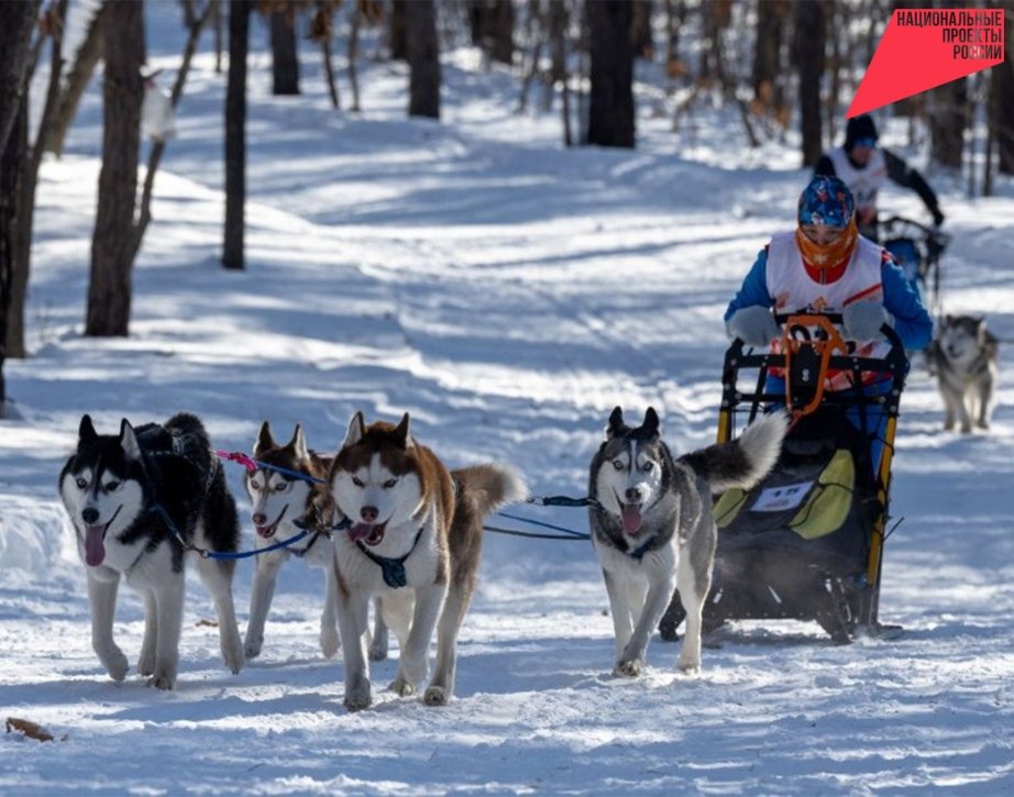&quotДоступный спорт&quot продолжается в Хабаровском крае Пресс-служба министерства спорта Хабаровского края