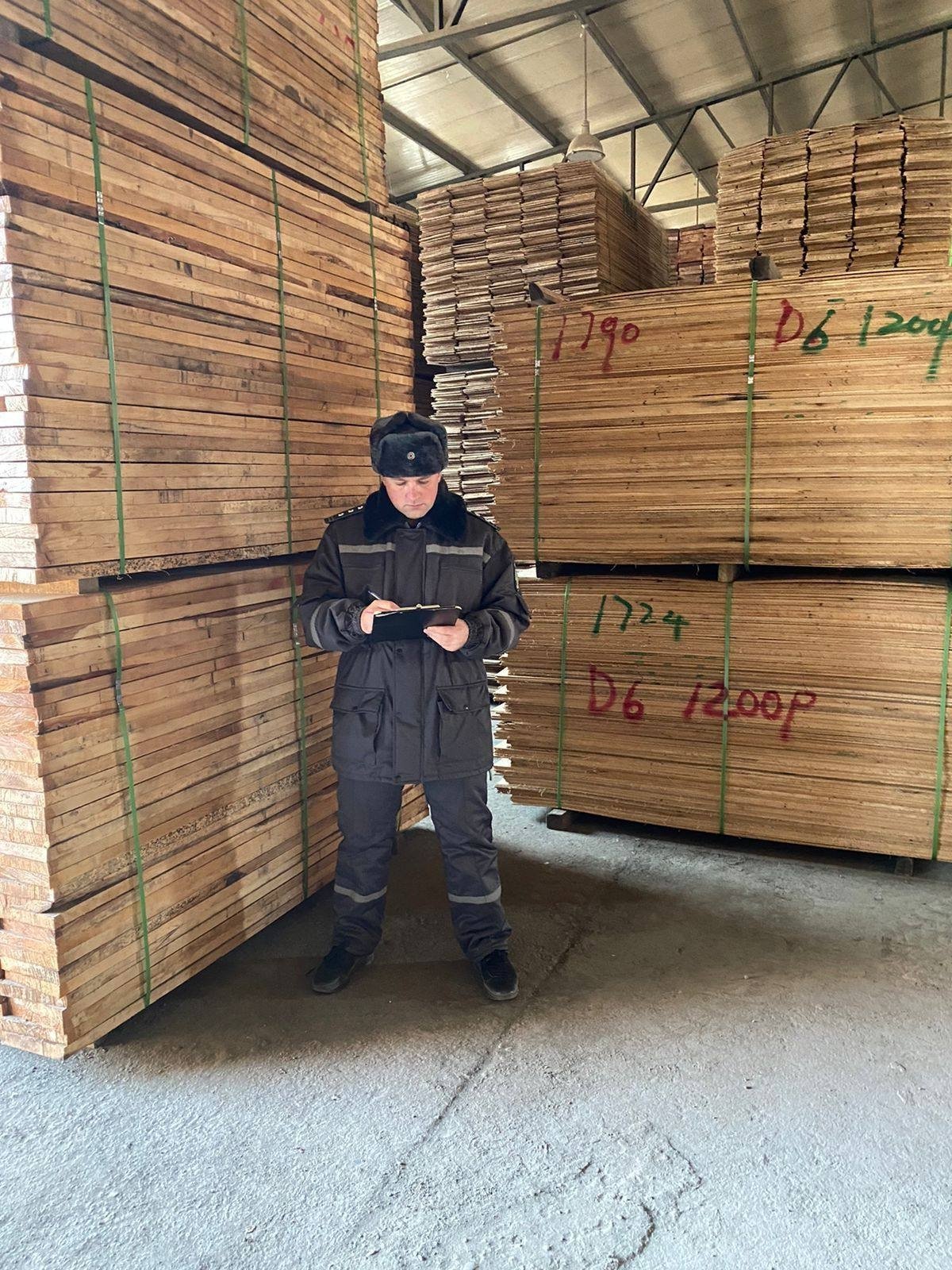 Россельхознадзор Приморья оформил на экспорт свыше 72 тысяч кубометров лесоматериалов Приморское межрегиональное управление РСХН