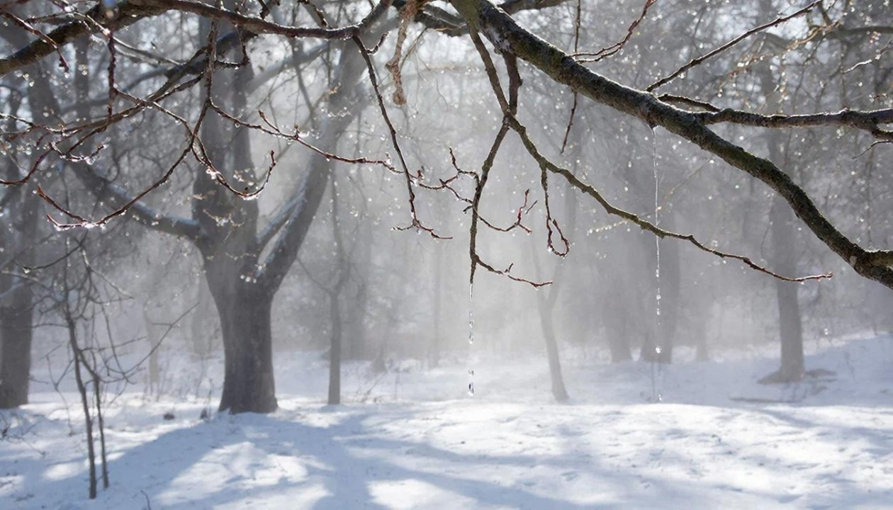 Потепление после морозов ждет Иркутскую область в ближайшие дни Kandinsky by Sber AI (18+)