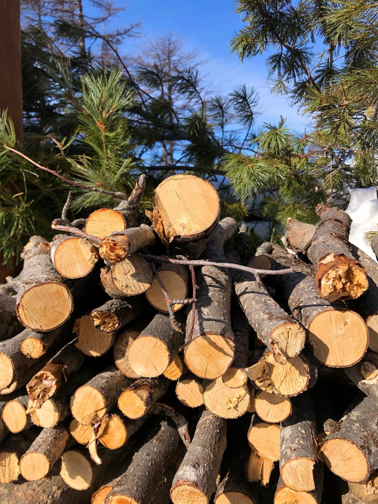 Тематическое фото Прокуратура Магаданской области