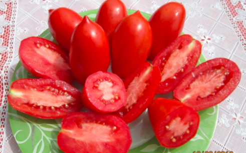 Тематическое фото портал &quottomatland.ru&quot (18+)