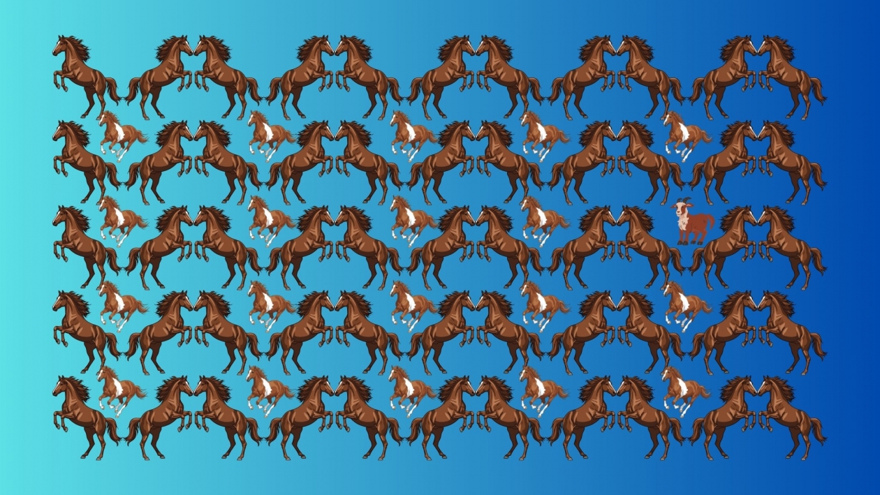 Тематическое фото ИА EAOMedia