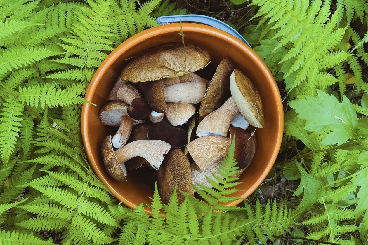 Тематическое фото Мария Смитюк, ИА PrimaMedia