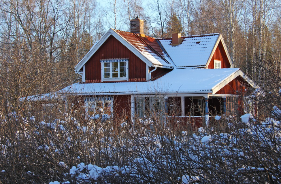 Тематическое фото pxhere.com