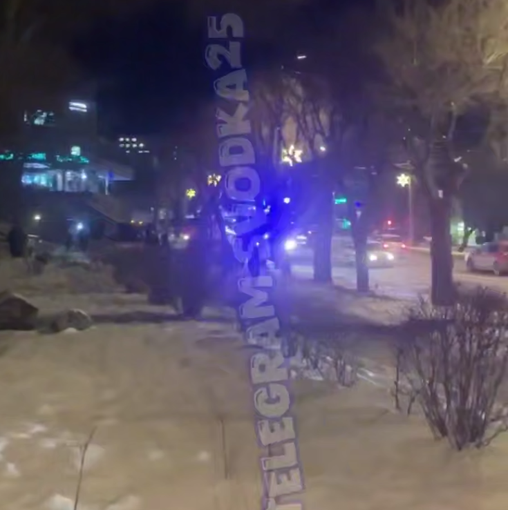 Tg-канал «svodka25» (18+)