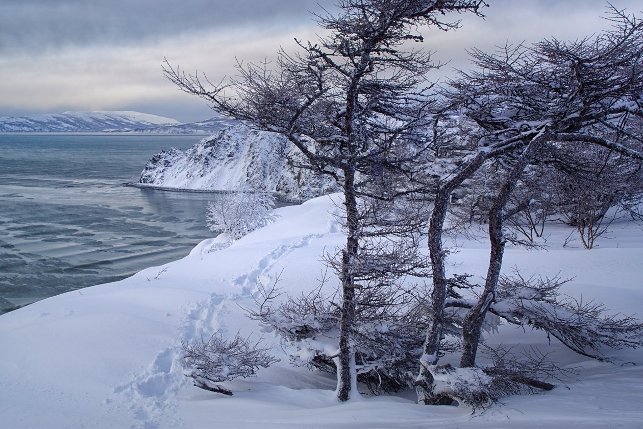 Лучшие фото Магадана Светлана Гореликова