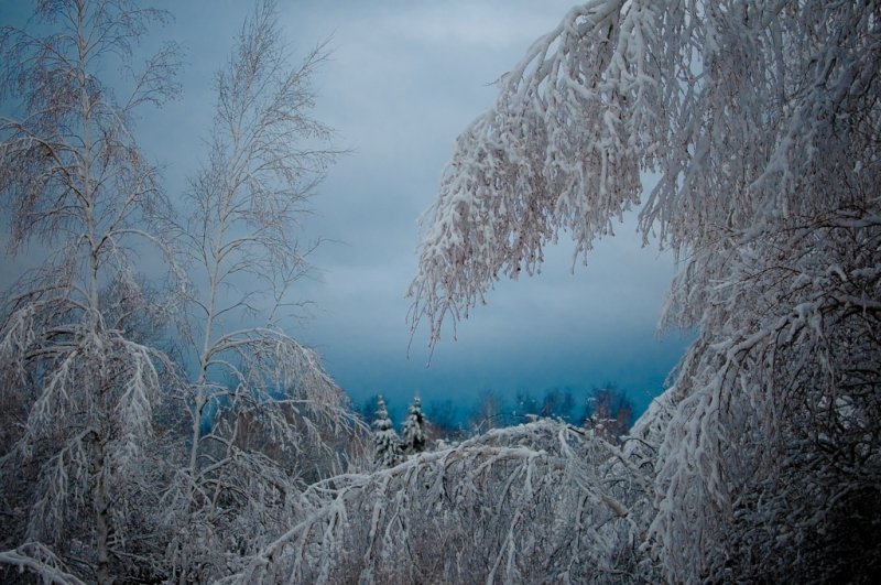Тематическое фото ИА ЕАОMedia