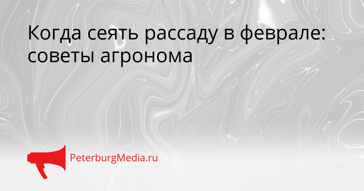 Когда сеять рассаду в феврале: советы агронома Сгенерировано