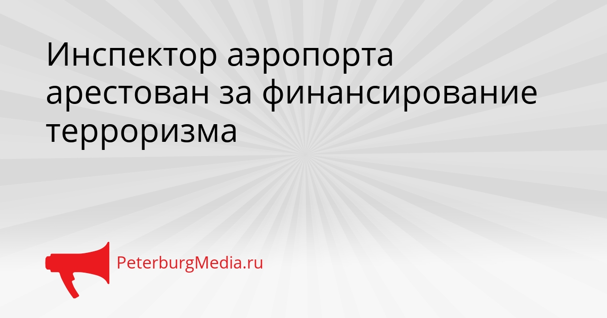 Инспектор аэропорта арестован за финансирование терроризма Сгенерировано