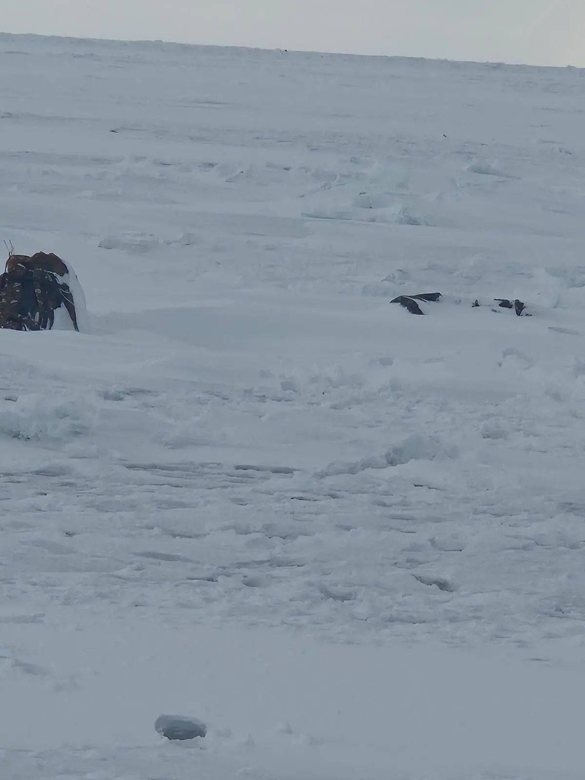 Тематическое фото Группа в мессенджере MAX  &quotРыбалка Сахалин чат&quot (18+)