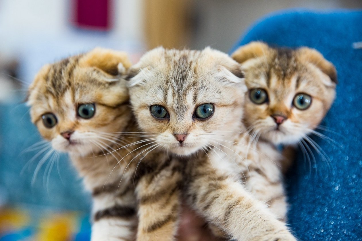 Тематическое фото ИА PrimaMedia