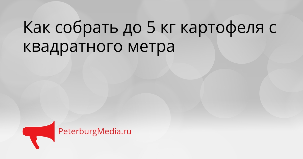 Как собрать до 5 кг картофеля с квадратного метра Сгенерировано