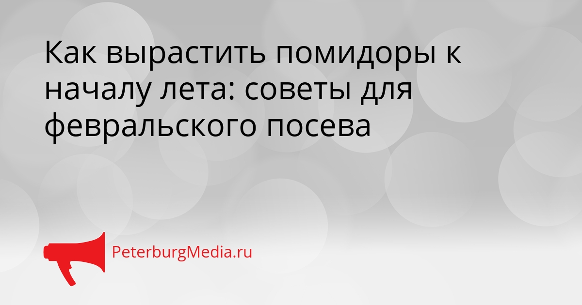 Как вырастить помидоры к началу лета: советы для февральского посева Сгенерировано