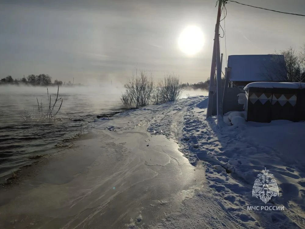 Несколько садовых участков подтопило в СНТ Ангарского округа Пресс-служба ГУ МЧС России по Иркутской области