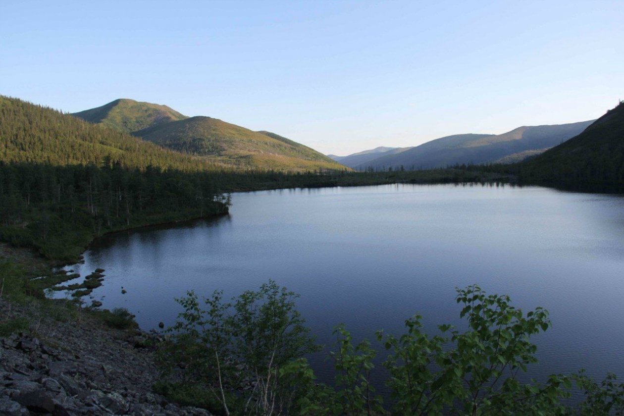 Буреинский заповедник