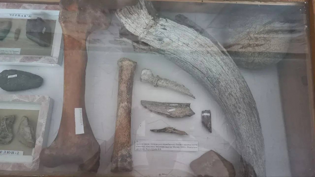 Школьный музей тг-канал (18+) Вячеслава Кулакова