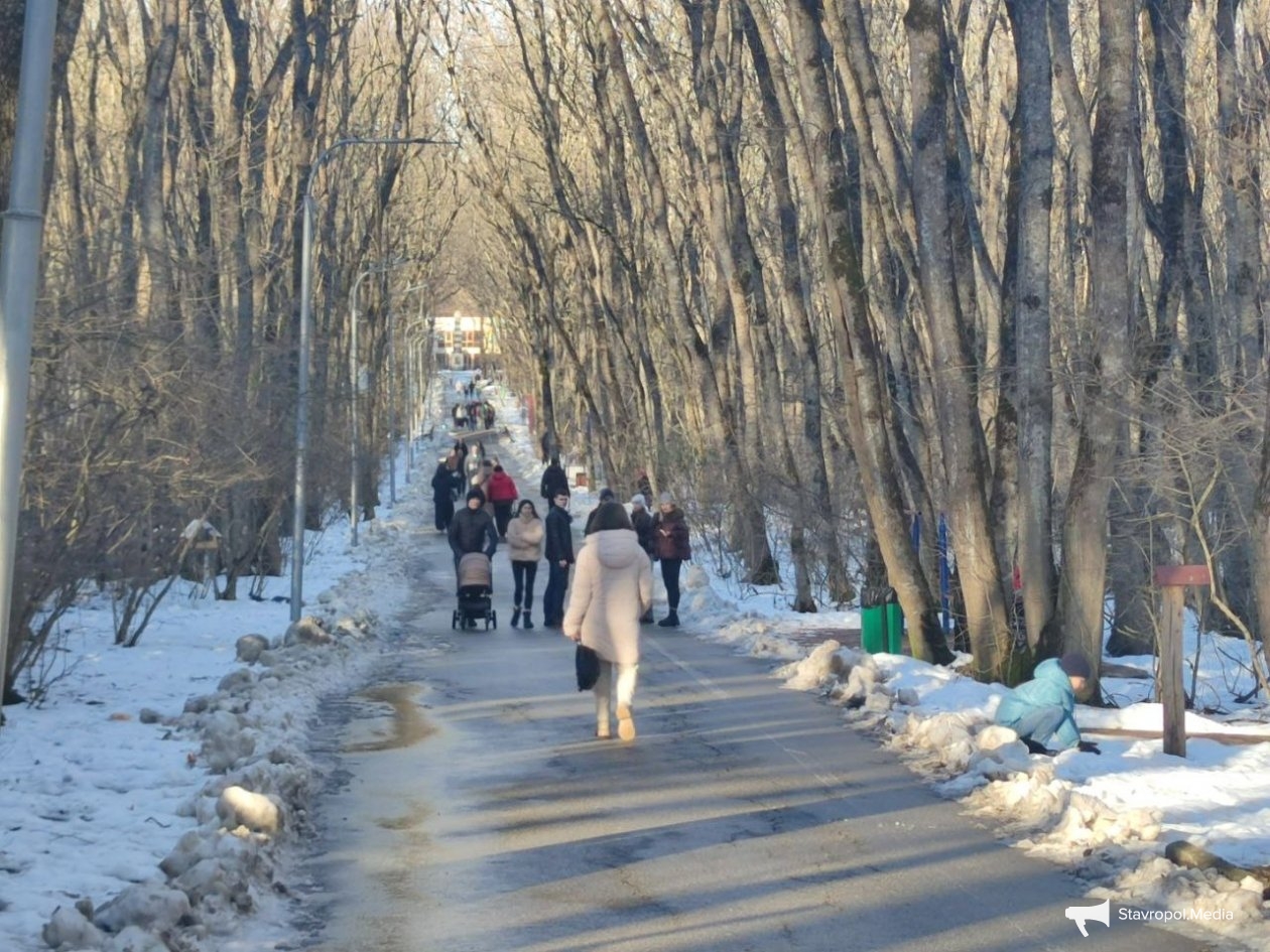 Похолодание ожидается на следующей неделе на Ставрополье ИА Stavropol.Media