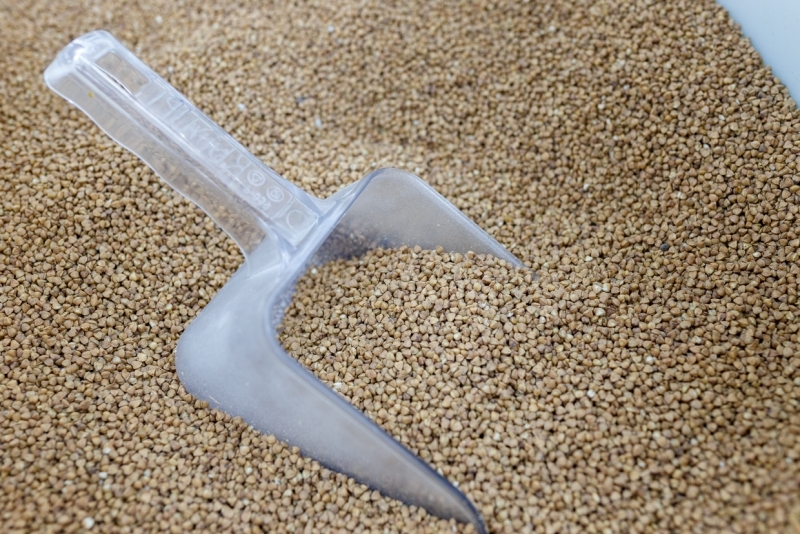 Александр Хитров, ИА PrimaMedia