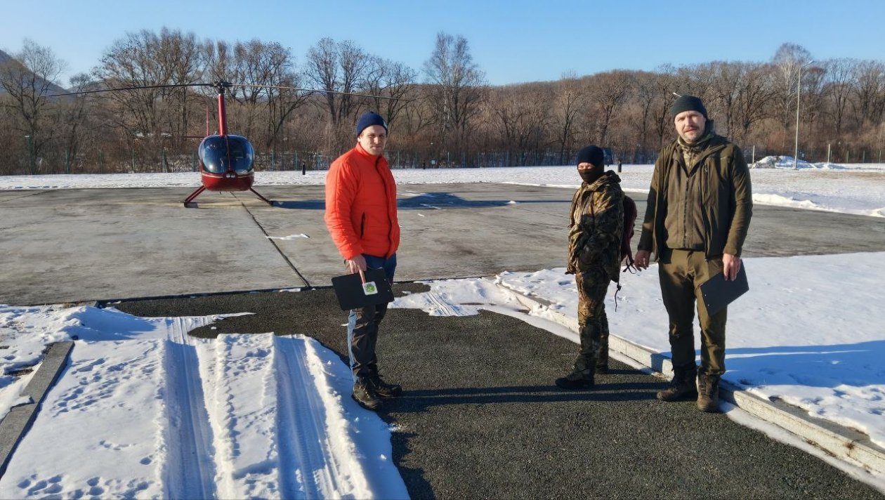 Стартовал массовый авиаучет диких копытных пресс-служба ФГБУ &quotЗемля леопарда&quot