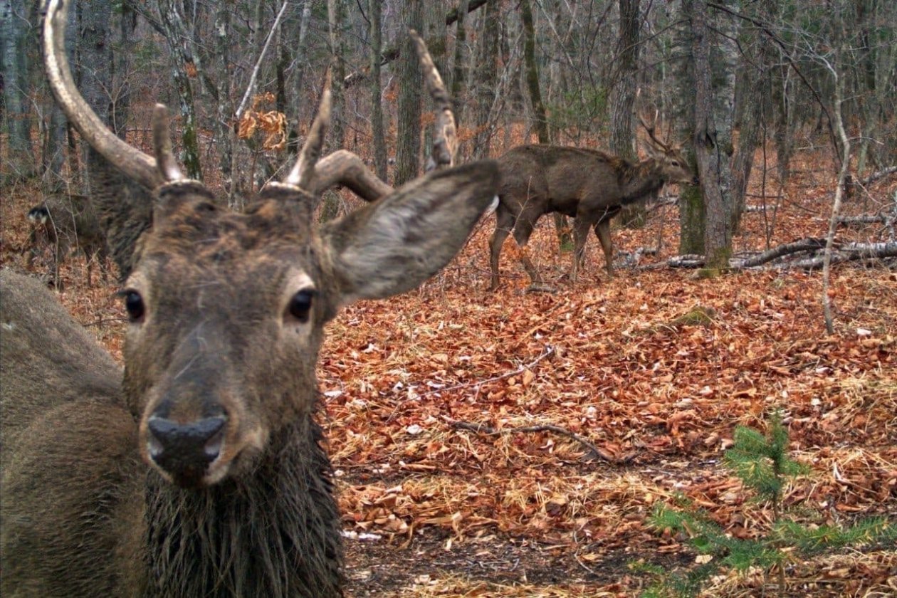 пресс-служба ФГБУ 