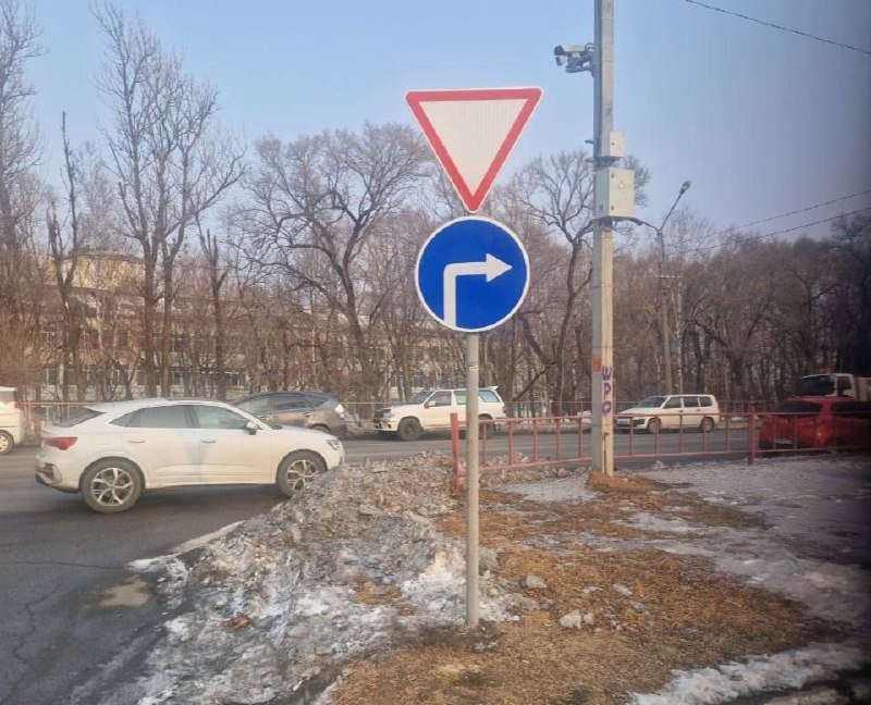 прислали подписчики