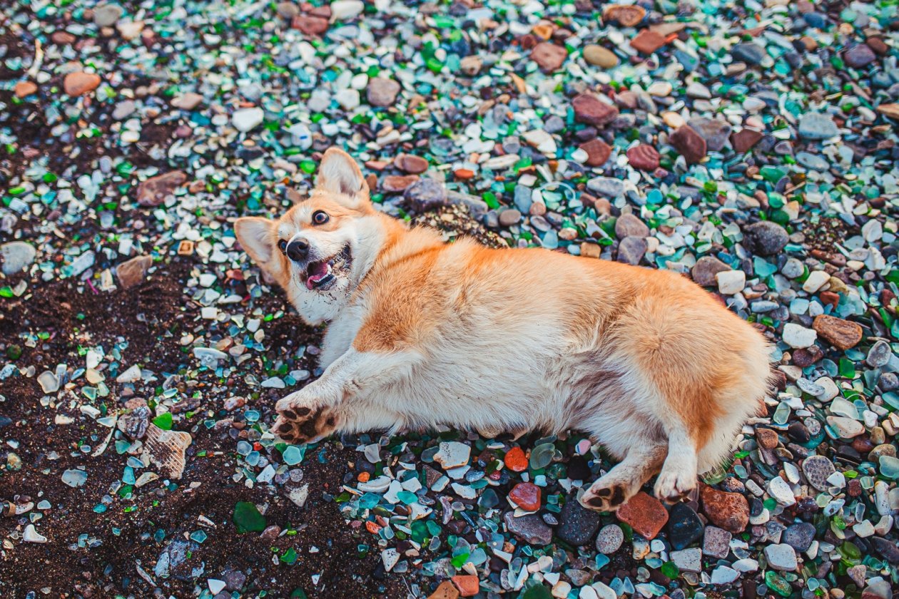 Тематическое фото ИА PrimaMedia