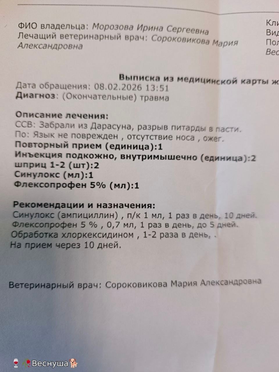 из телеграм-канал приюта Верность