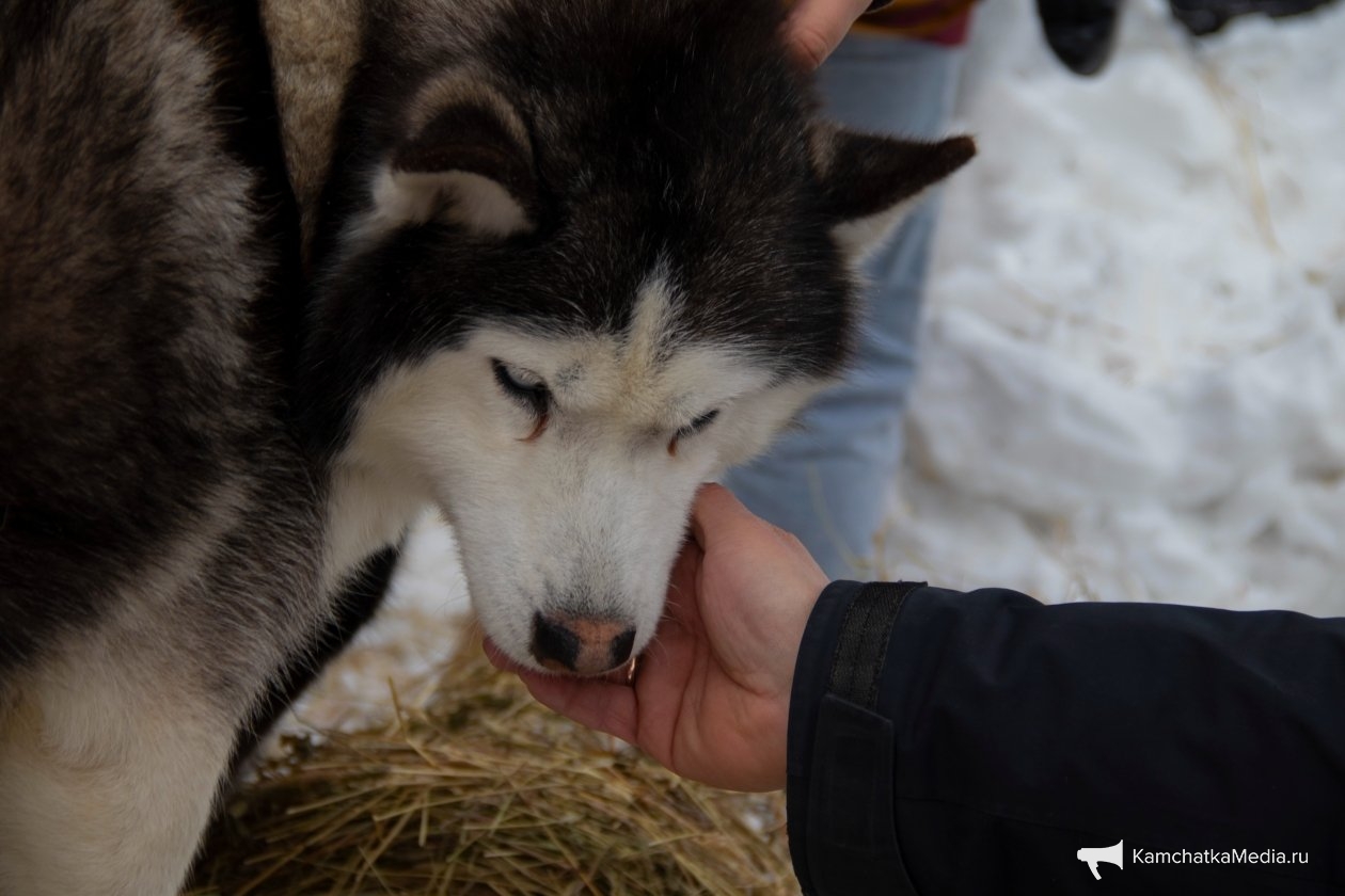 Ирина Васильева, ИА KamchatkaMedia