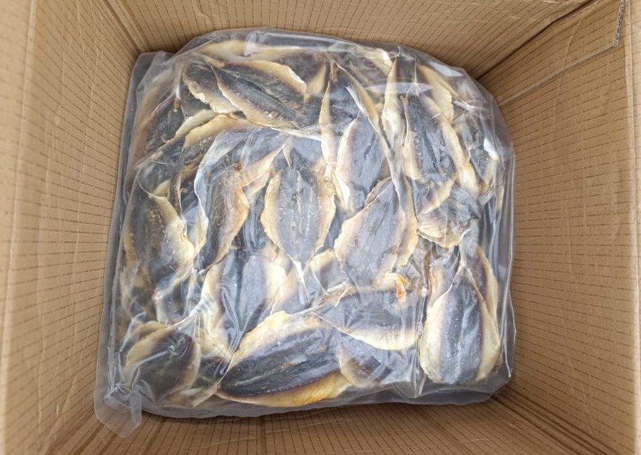 Зараженный полосатик Приморское межрегиональное управление РСХН.