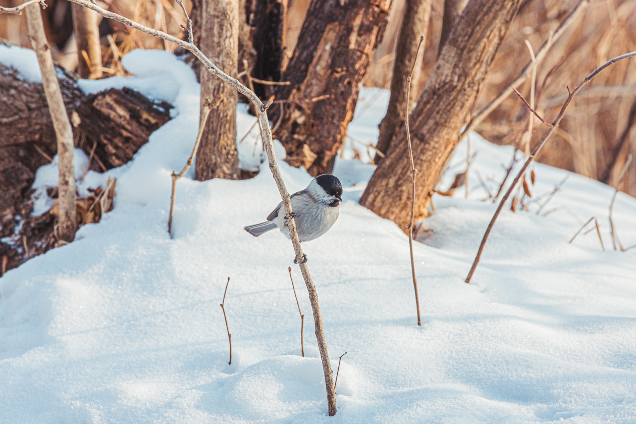 Тематическое фото Мария Смитюк, ИА PrimaMedia