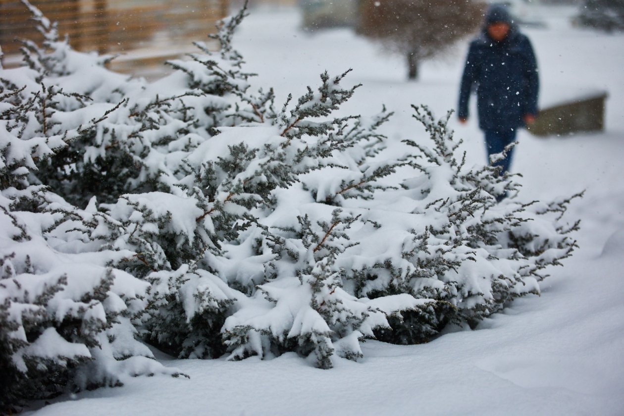 Мокрый снег и шквалистый ветер обрушатся на Кубань Дмитрий Осипчук