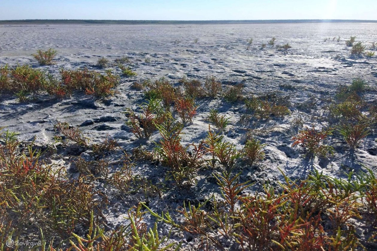 Мобильный интернет стал быстрее на ставропольском &quotМертвом море&quot сайт StavTravel (6+)