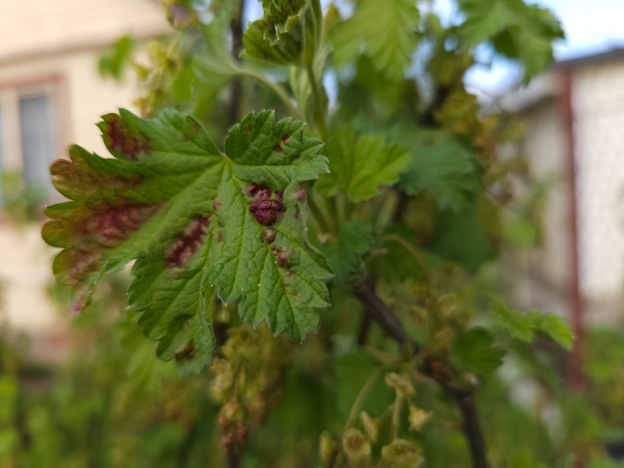 Тематическое фото Авторское