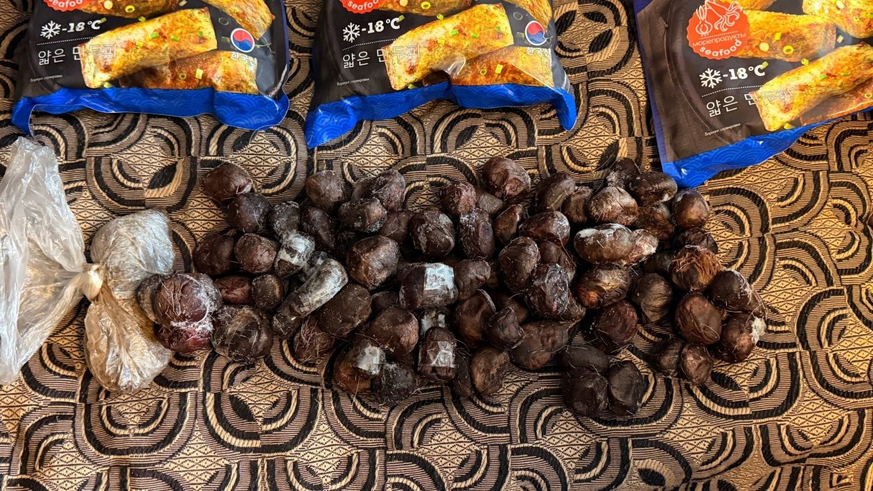 Контрабанда мускуса кабарги на 12 млн рублей пресечена на Дальнем Востоке Пресс-служба Дальневосточного таможенного управления