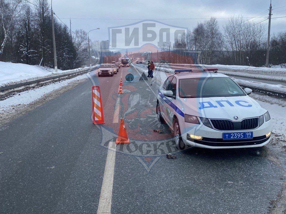 Тематическое фото Telegram / Госавтоинспекция Москвы