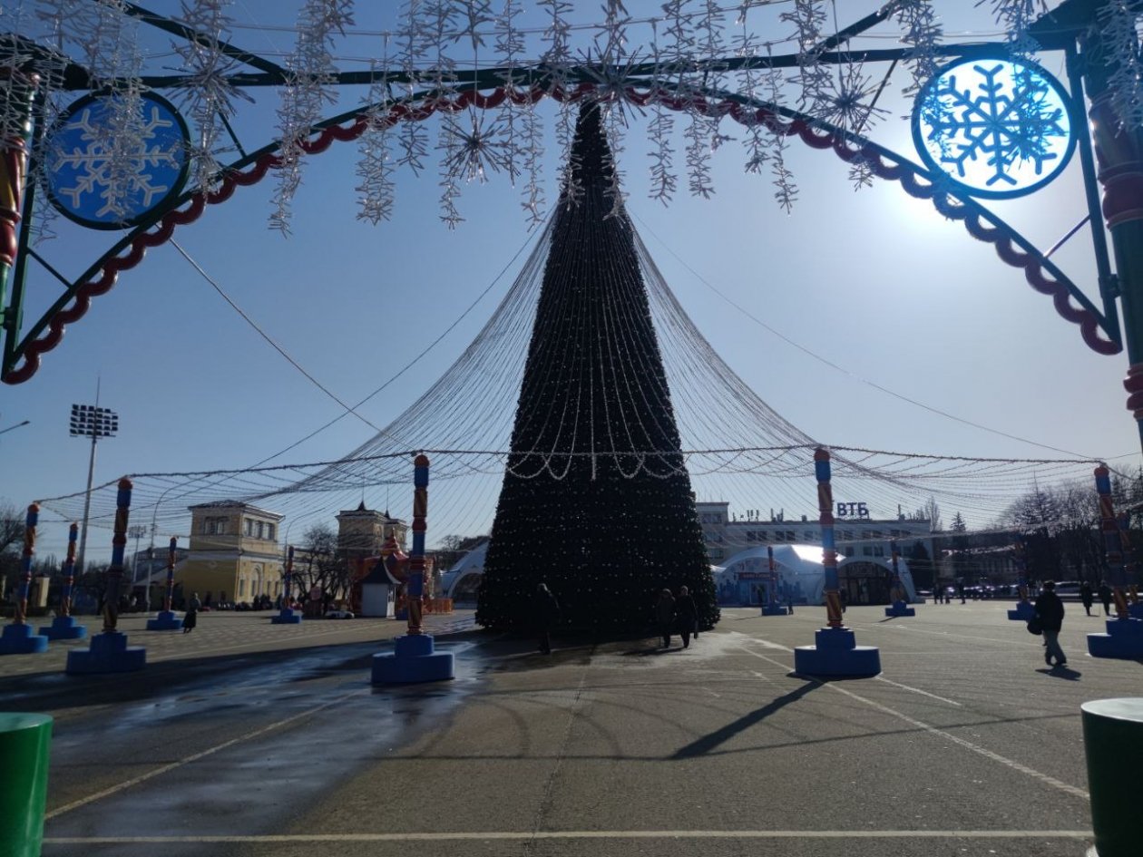 Новогодний ёлочный лес останется на площади Ленина до конца зимы в Ставрополе ИА Stavropol.Media