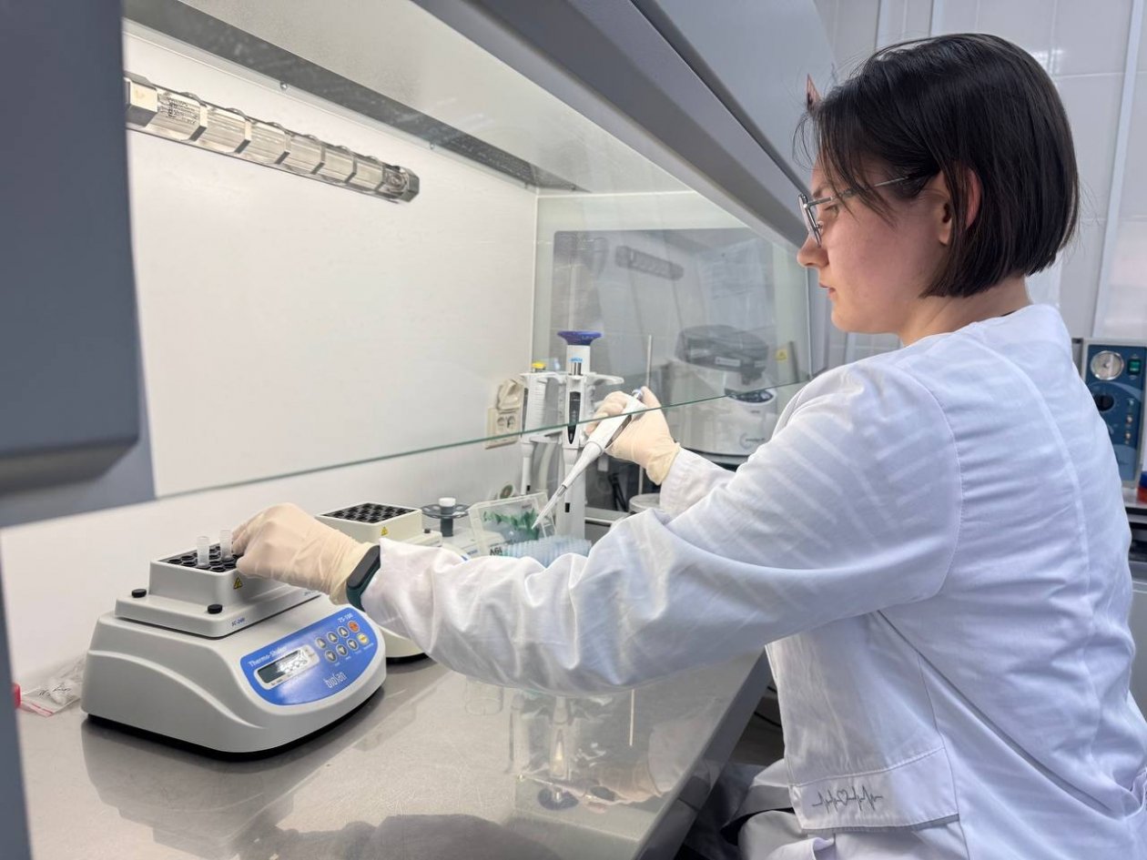 Генетическая лаборатория в Бурятии стоит на защите лесов четырёх регионов Центр защиты лесов Бурятии