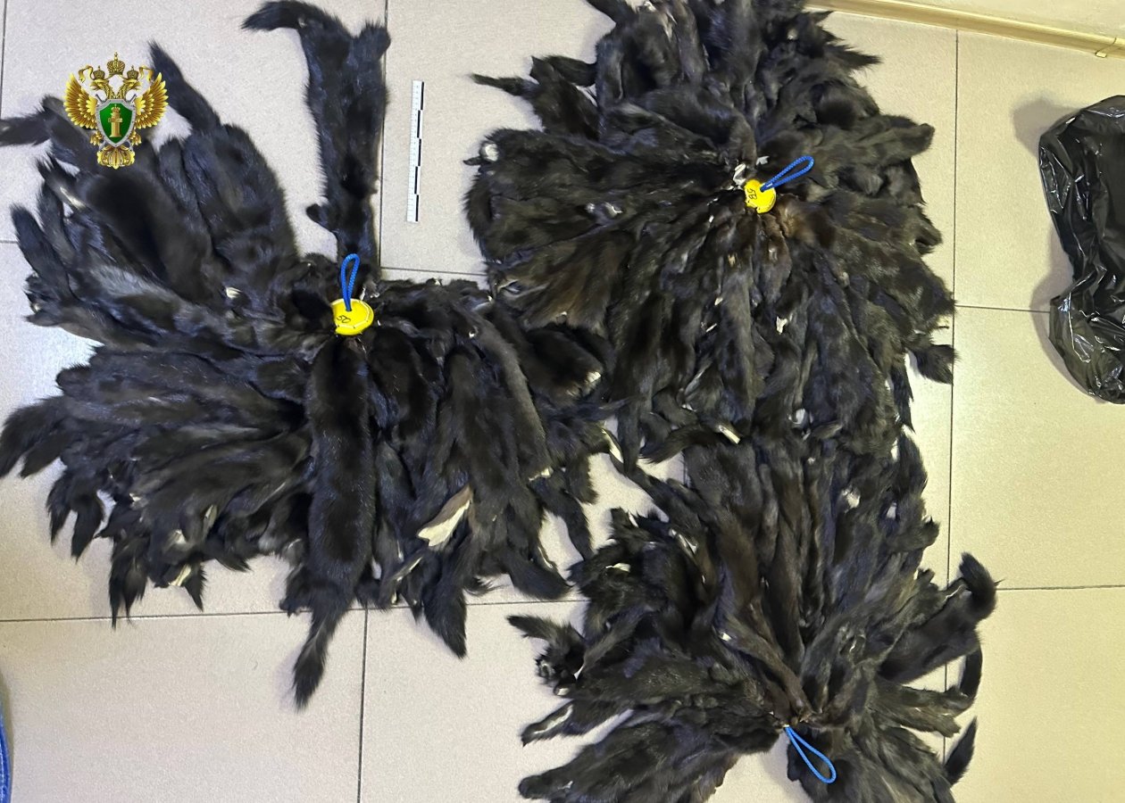 Генпрокуратура России