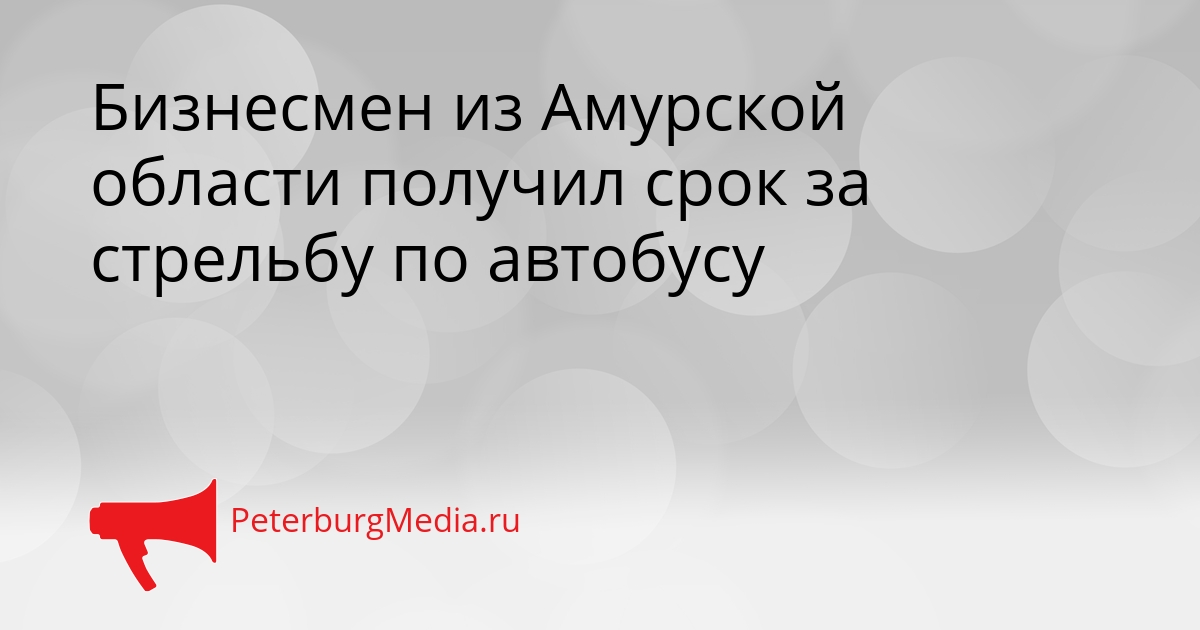 Бизнесмен из Амурской области получил срок за стрельбу по автобусу Сгенерировано