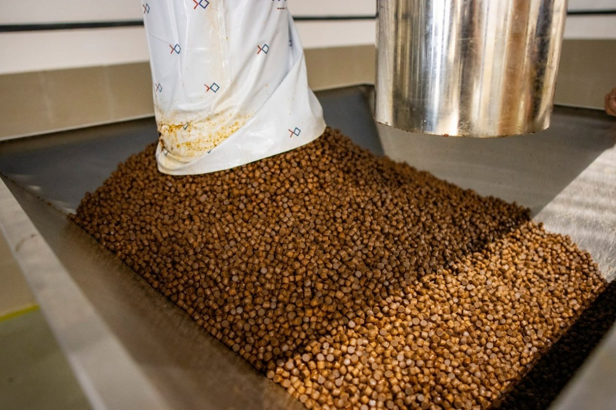 На Кубани запустили современное производство кормов для форели &quotПрогресс Агро&quot