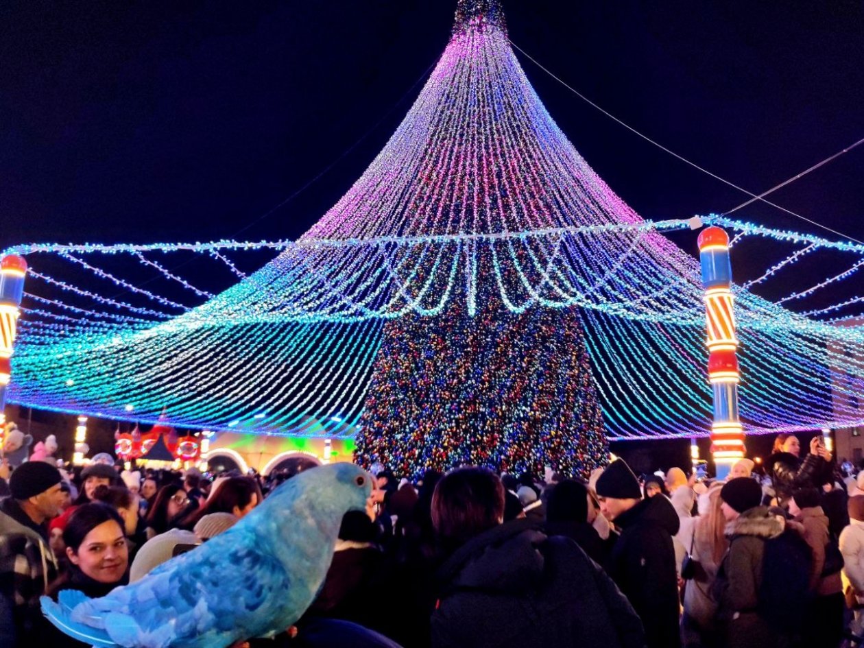 К демонтажу  новогоднего убранства приступили в Ставрополе ИА Stavropol.Media