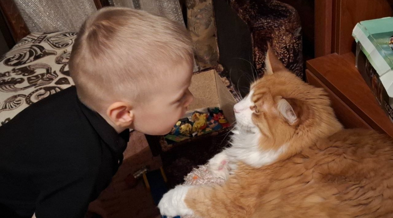 Эти 6 пород кошек никогда не бросят хозяина - в 100 раз преданнее Хатико ИА Stavropol.Media