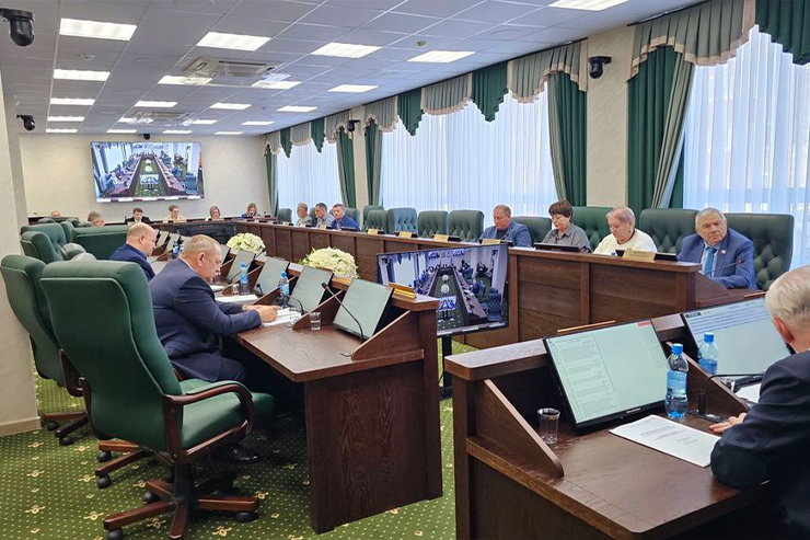 Заседании постоянного комитета по социальной политике областной Думы пресс-служба Сахалинской областной Думы